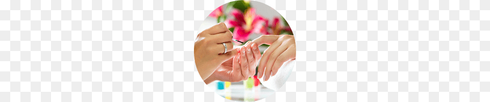 Nails, Body Part, Hand, Manicure, Nail Free Transparent Png