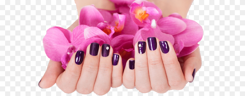 Nails, Body Part, Person, Nail, Manicure Png