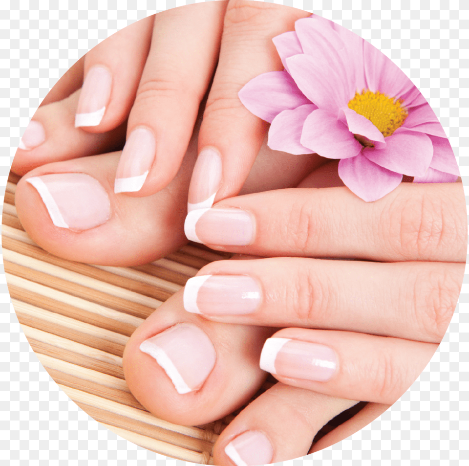 Nails, Body Part, Hand, Manicure, Nail Free Png