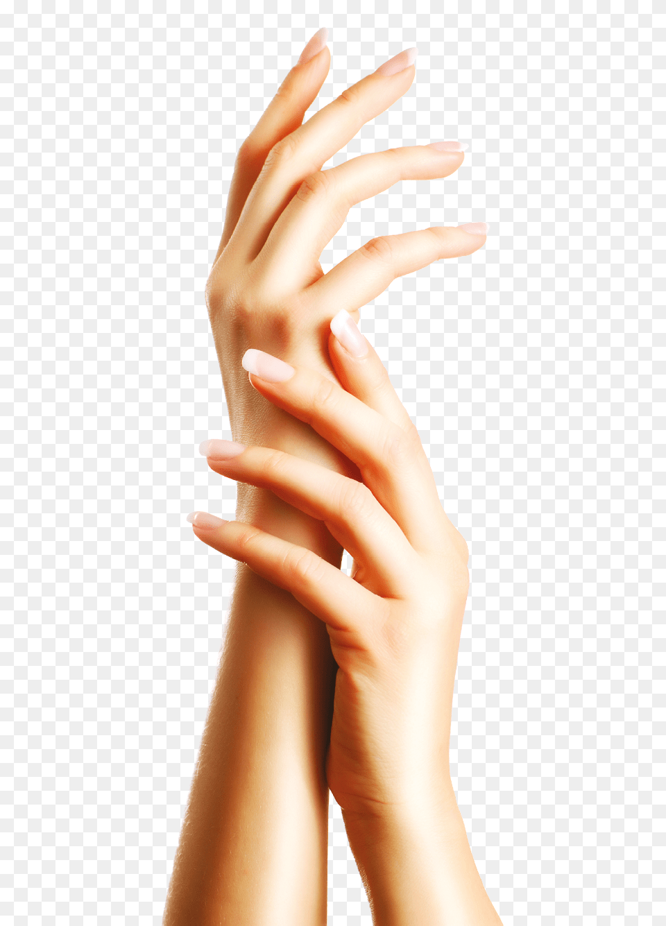 Nails, Body Part, Finger, Hand, Person Png