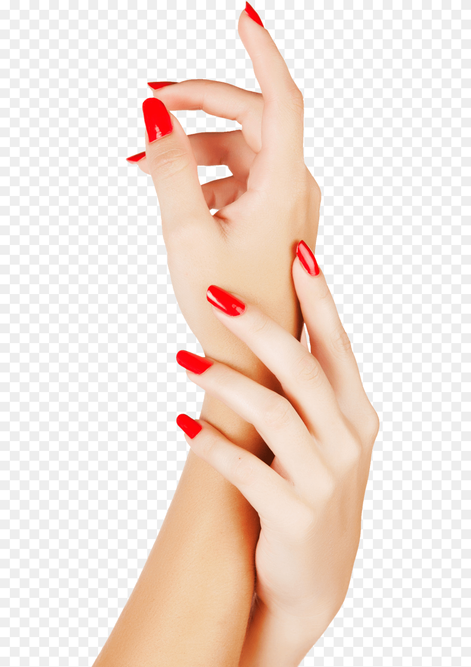 Nails Color Nails, Adult, Person, Nail, Hand Free Transparent Png