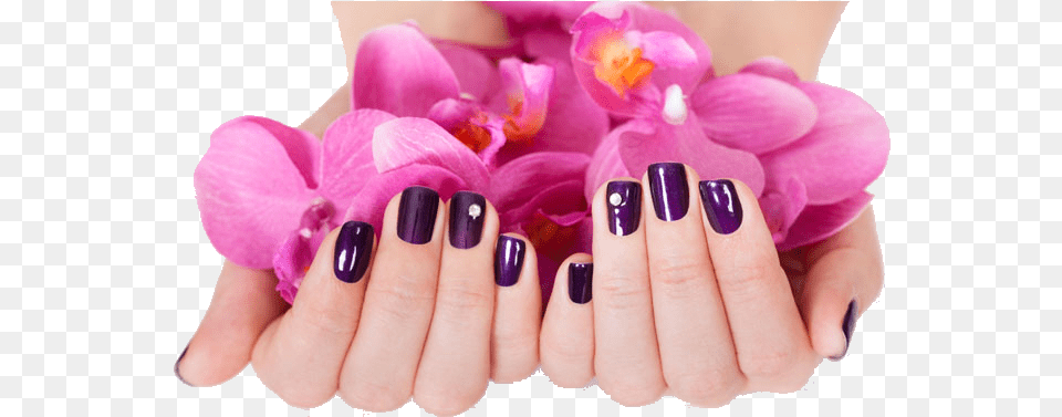 Nails Manicure Bio Sculpture Gel Uk, Body Part, Hand, Nail, Person Free Png