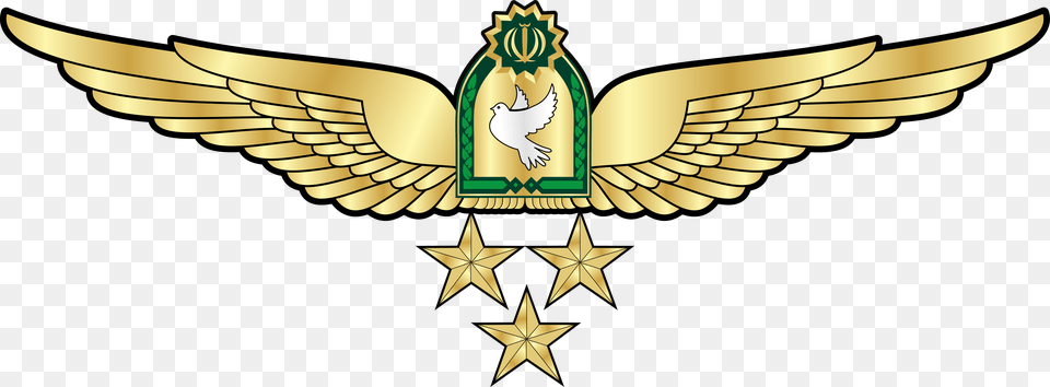 Naja Pilot Wing 1st Class Pilot Wings Cartoons, Emblem, Symbol, Gold Free Png Download