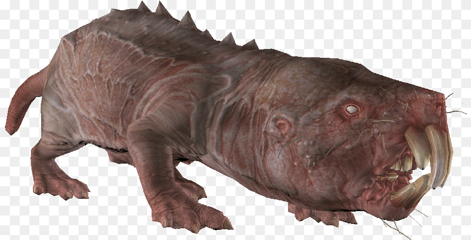 Naked Mole Rat Fallout, Animal, Mammal, Reptile, Sea Life Free Transparent Png