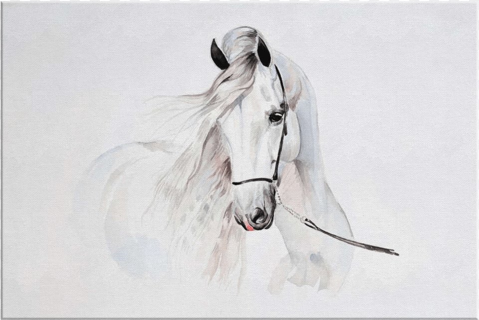 Naklejka Na Ko, Art, Drawing, Animal, Horse Free Png
