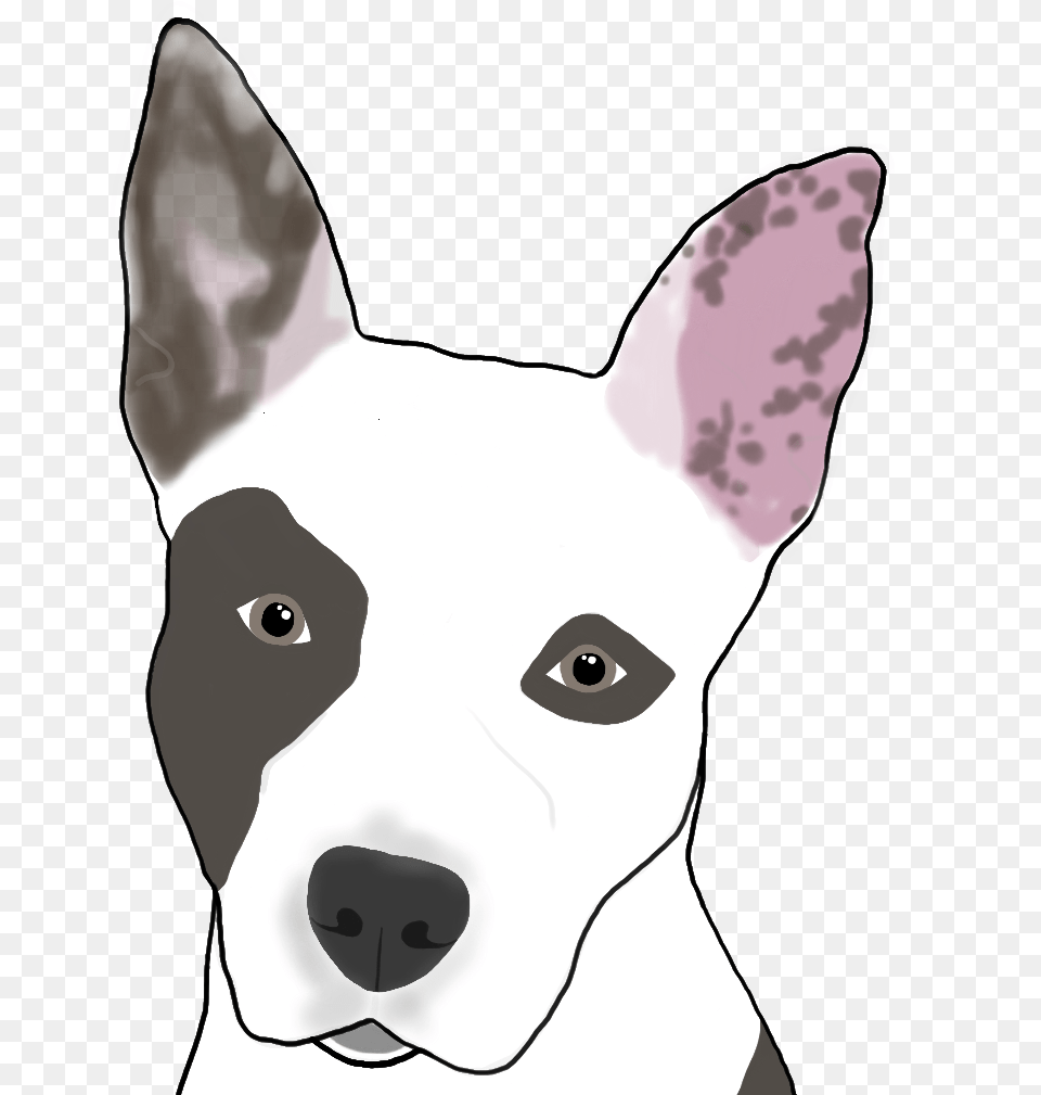 Nala Sticker Old English Terrier, Animal, Pet, Mammal, White Dog Free Png