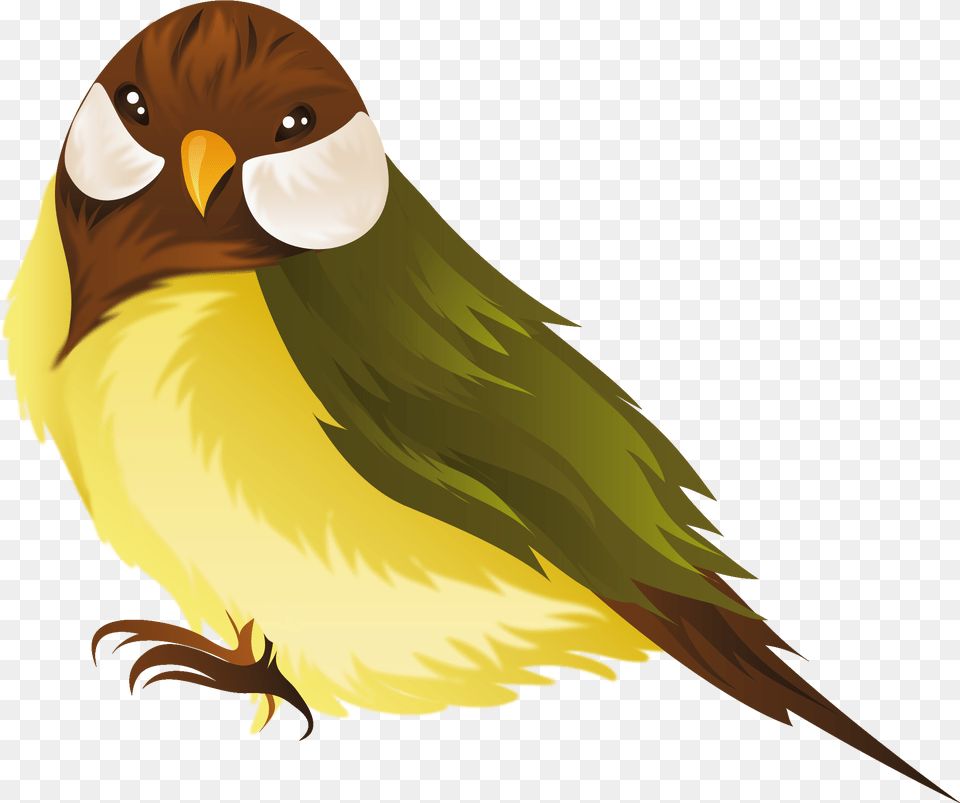 Name Clipart Bird For Download Cartoon Birds With Background, Animal, Beak, Finch, Fish Free Transparent Png
