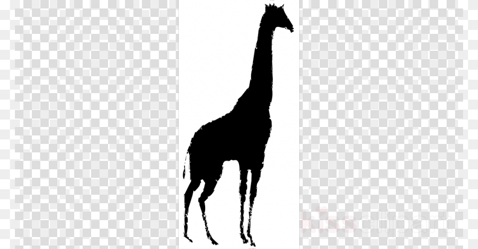 Name Clipart Name Animal Llama Clip Art, Silhouette, Stencil, Horse, Mammal Free Png