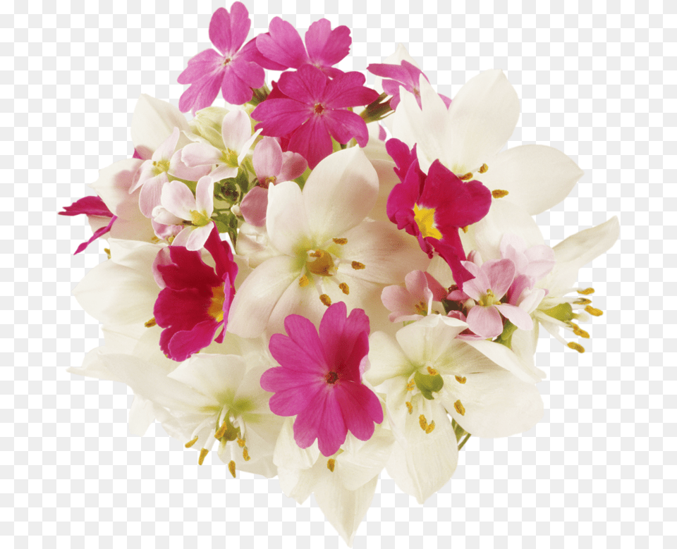 Name Day Flowers, Flower, Flower Arrangement, Flower Bouquet, Plant Png