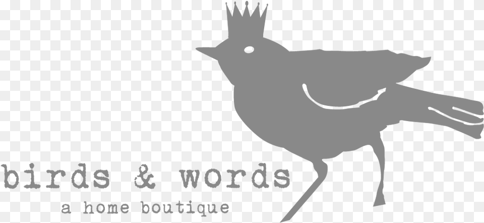 Name Illustration, Stencil, Animal, Bird, Blackbird Png