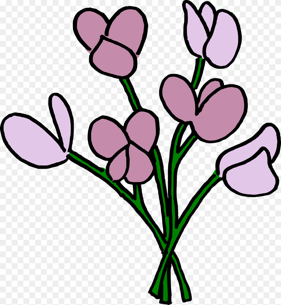 Name That Flower Answers The Muddy Bunch, Plant, Petal, Art, Purple Free Png Download