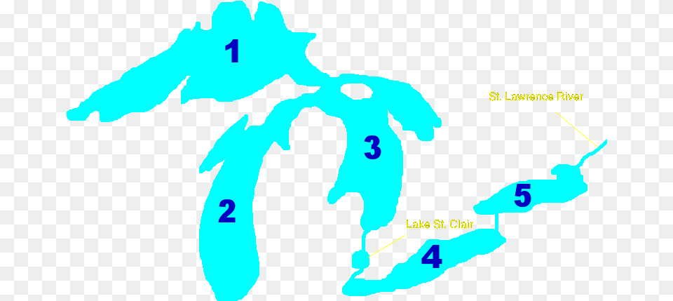 Name The Great Lake, Ct Scan, Adult, Male, Man Free Png