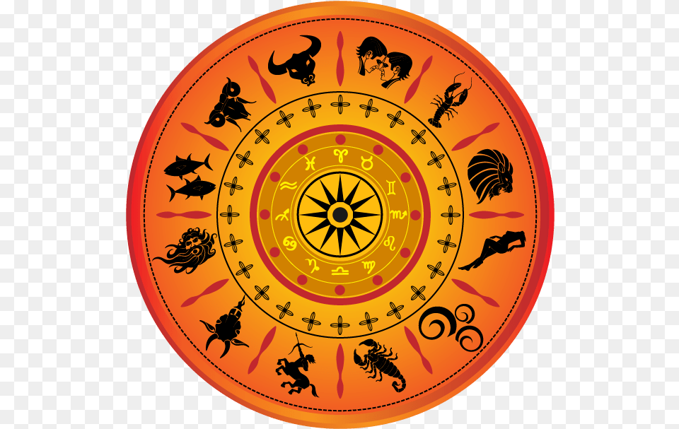 Namo Again 23 May 2019 Astrology Near Me, Person, Animal, Bee, Honey Bee Free Png