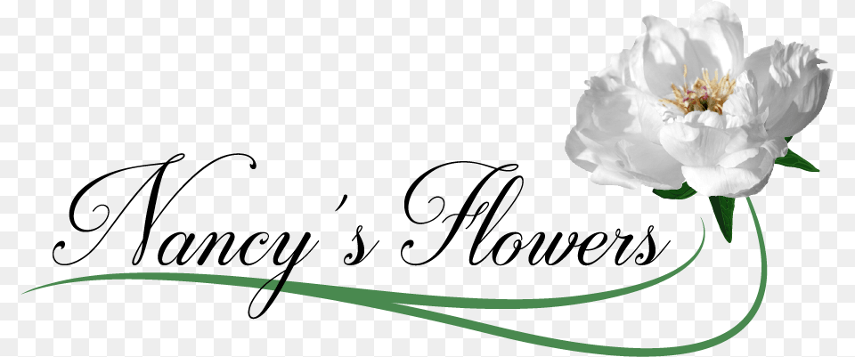 Nancy S Flowers N Logo Flower, Anther, Petal, Plant, Pollen Png