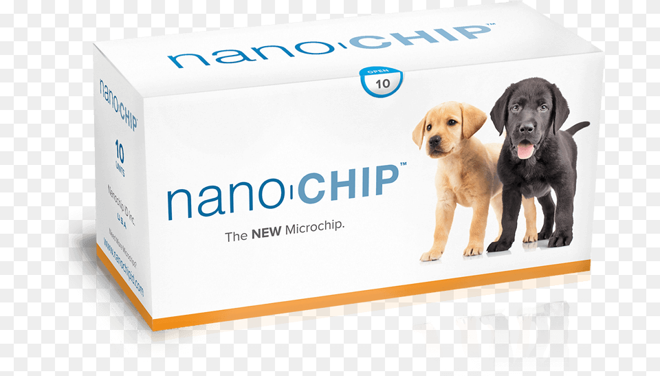 Nano Microchip, Animal, Canine, Dog, Mammal Free Transparent Png