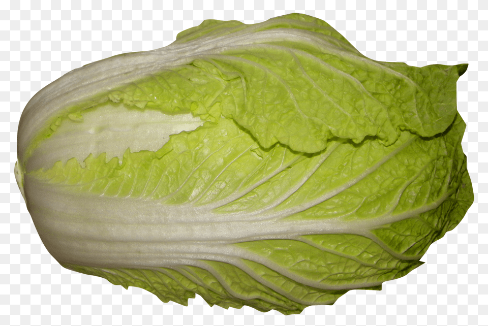 Napa Cabbage, Food, Produce, Leafy Green Vegetable, Plant Free Transparent Png