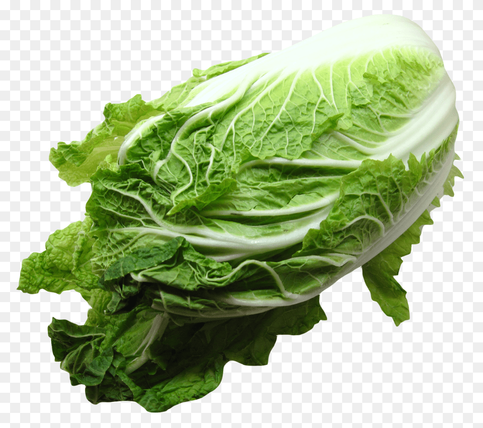 Napa Cabbage, Food, Produce, Leafy Green Vegetable, Plant Free Png Download