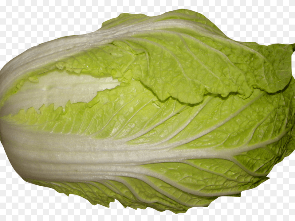 Napa Cabbage Best Stock Photos, Food, Produce, Leafy Green Vegetable, Plant Png Image
