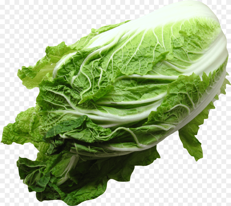Napa Cabbage Cabbage, Food, Produce, Burger, Leafy Green Vegetable Free Png Download
