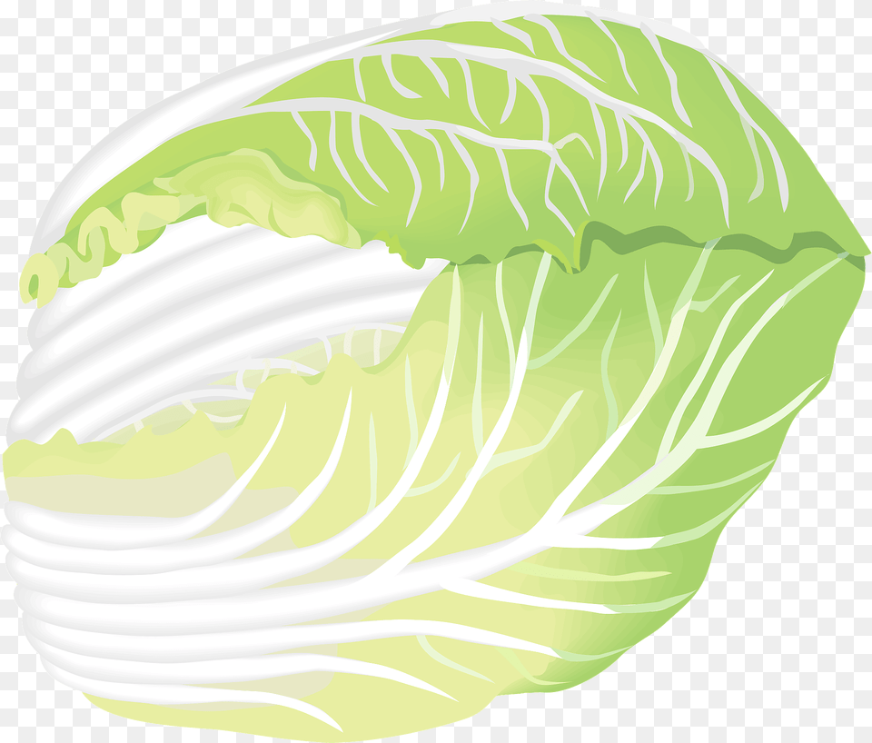 Napa Cabbage Clipart, Food, Leafy Green Vegetable, Plant, Produce Free Png Download