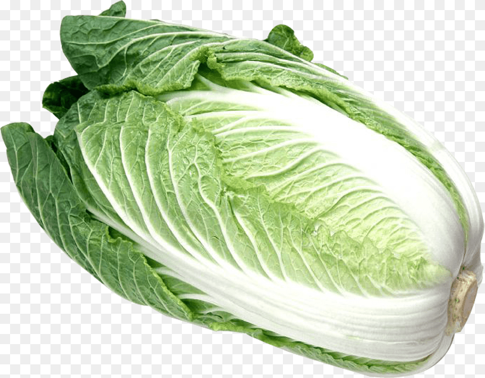 Napa Cabbage Foreign Vegetable Free Transparent Png