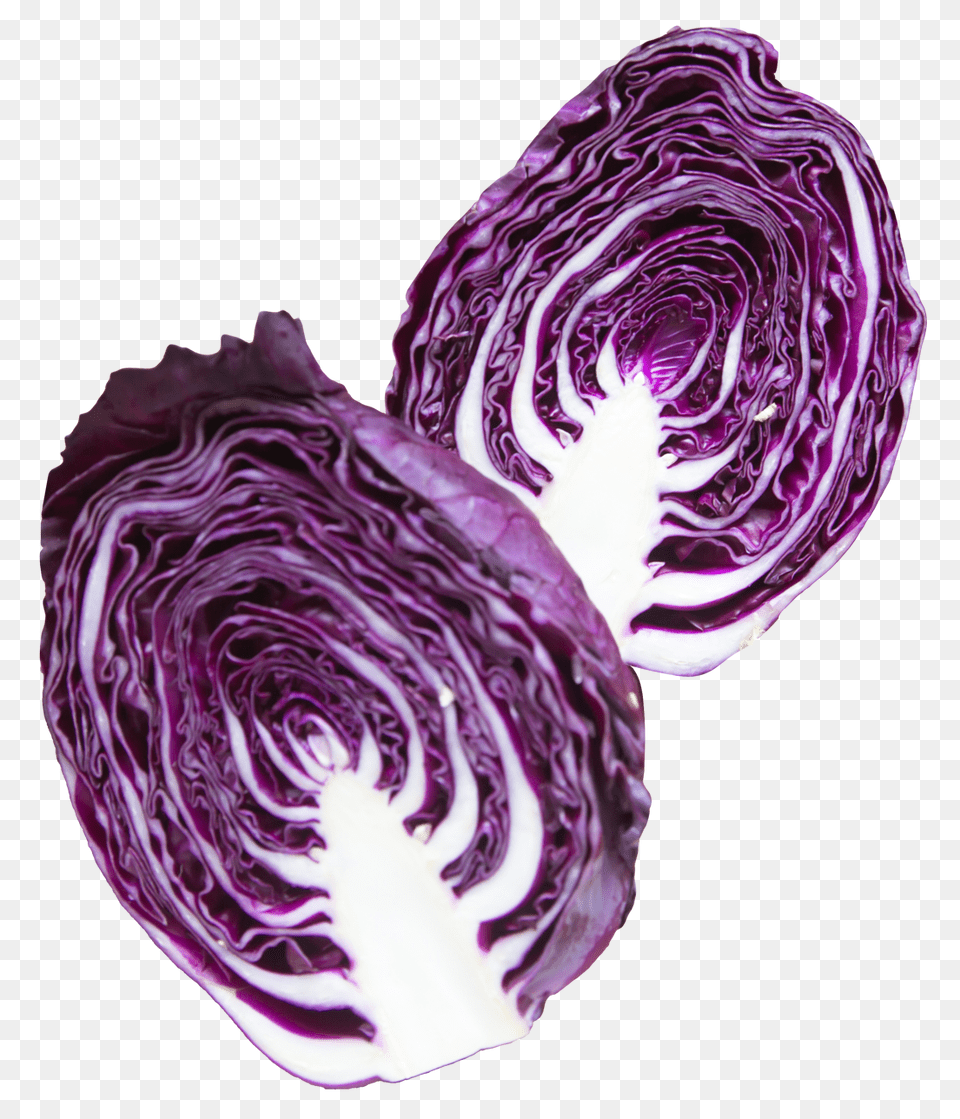 Napa Cabbage Purple Food, Leafy Green Vegetable, Plant, Produce Png Image