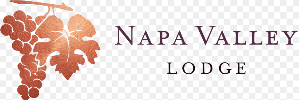 Napa Valley Lodge, Texture, Face, Head, Person Free Png Download