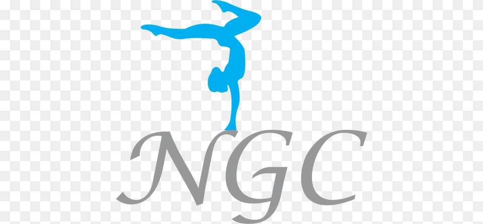 Naperville Gymnastics Full Zip Sweatshirt With Zebra Glitter, Person, Acrobatic Png Image
