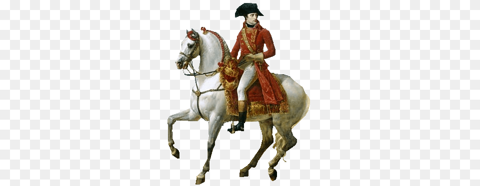 Napoleon, Animal, Horse, Mammal, Horseback Riding Free Png