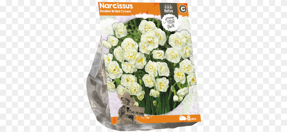 Narcissus Double Bridal Crown Daffodil, Flower, Flower Arrangement, Plant, Flower Bouquet Free Png Download