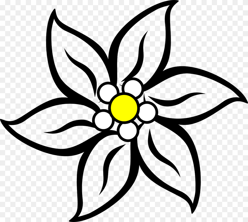 Narcissus Drawing Edelweiss Flower Jpg Stock Flower Mothers Day Drawings, Daisy, Plant, Anemone, Nature Png