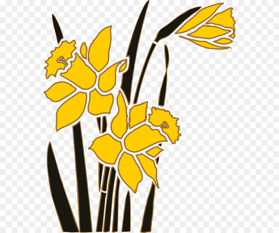 Narcissus Flower Clipart Narcissus Flower Clip Art, Daffodil, Plant Png