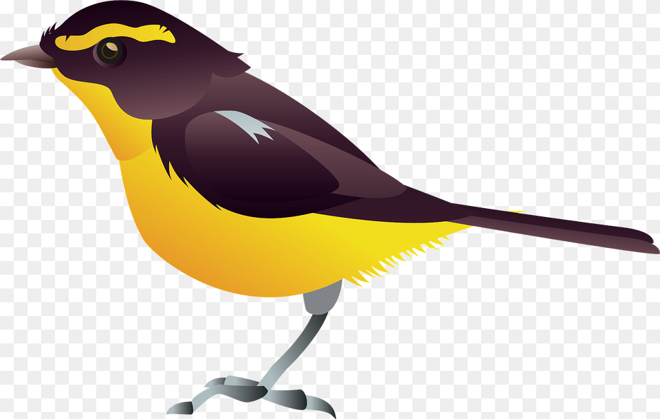 Narcissus Flycatcher Bird Clipart, Animal, Finch, Fish, Sea Life Free Png Download