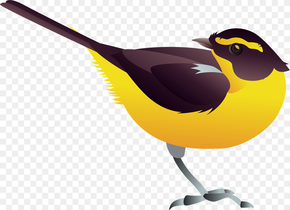 Narcissus Flycatcher Bird Clipart, Animal, Finch, Fish, Sea Life Free Png