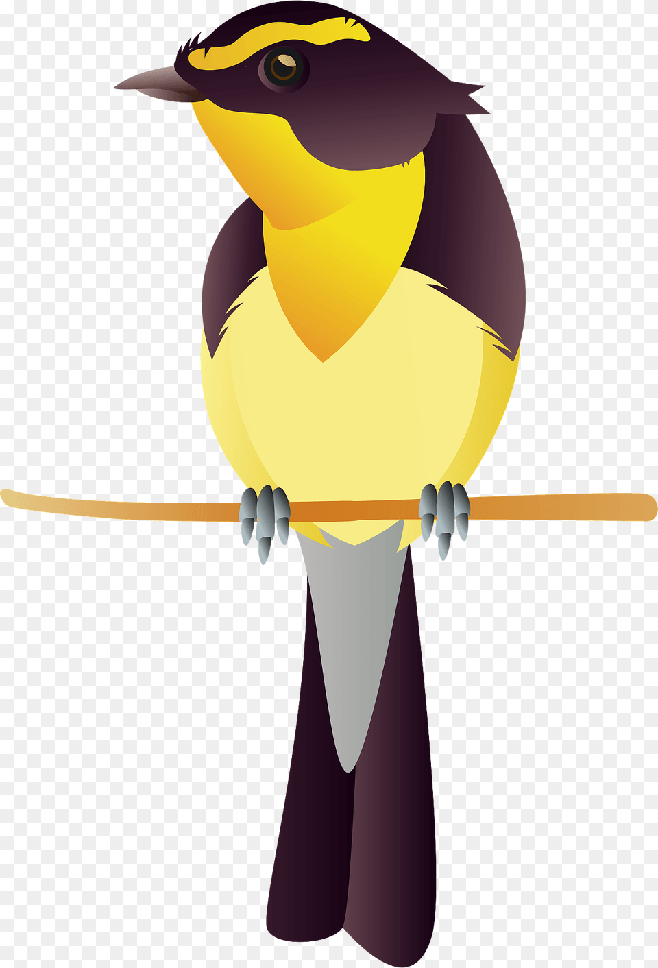 Narcissus Flycatcher Bird Clipart, Animal, Finch, Nature, Outdoors Png Image
