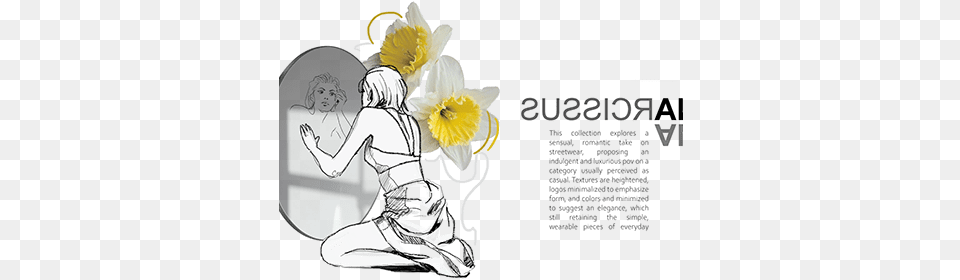 Narcissus Projects Photos Videos Logos Illustrations For Women, Flower, Daffodil, Plant, Book Png