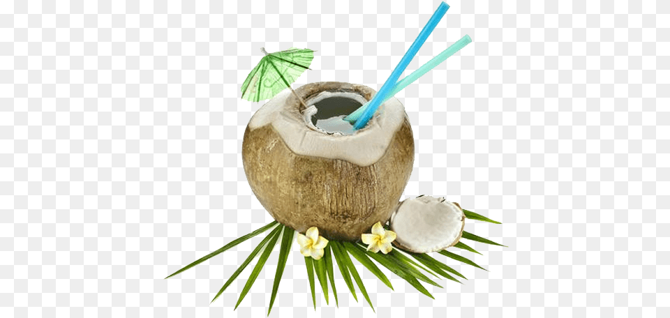 Nariyal Cool Packed Tender Coconut Water In Hyderabad Pudding, Food, Fruit, Plant, Produce Free Png