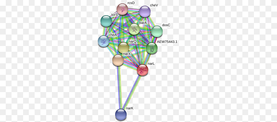 Narl Protein Circle, Sphere, Disk Free Png Download