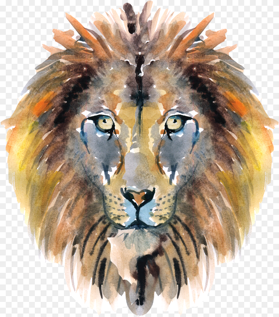 Narnia 18 Masai Lion, Animal, Mammal, Wildlife, Person Png