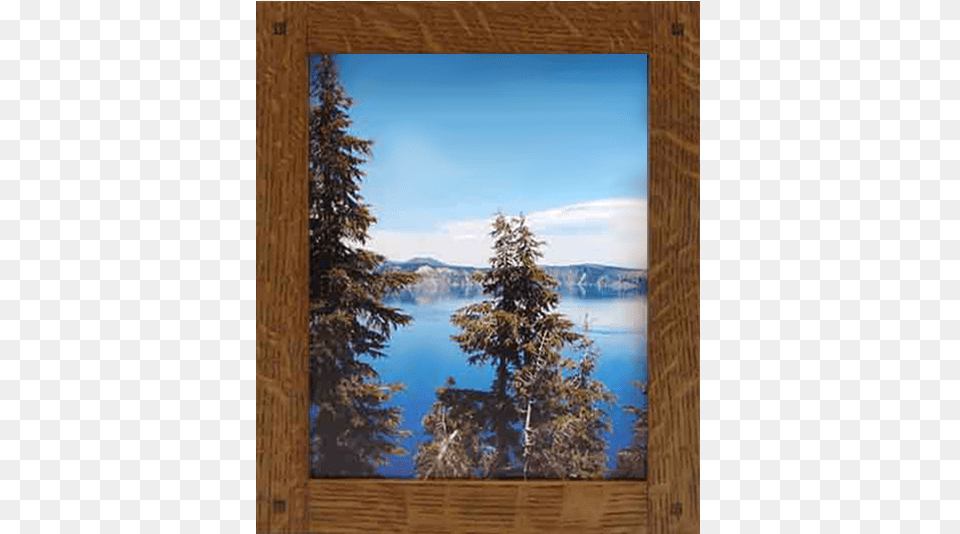 Narrow Lap Joined Wood Picture Frame Picture Frame, Plant, Tree, Art, Painting Png Image