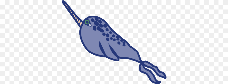 Narwal Animal Sticker Narwhal, Mammal, Sea Life, Whale, Fish Png