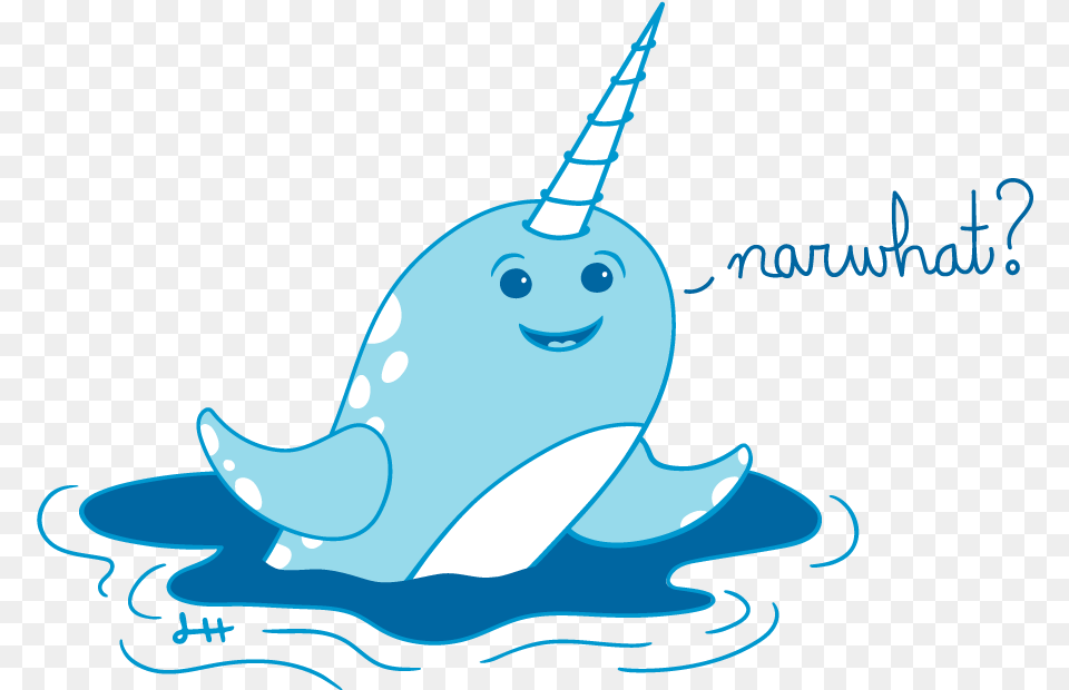 Narwhal, Animal, Mammal, Sea Life, Whale Png Image