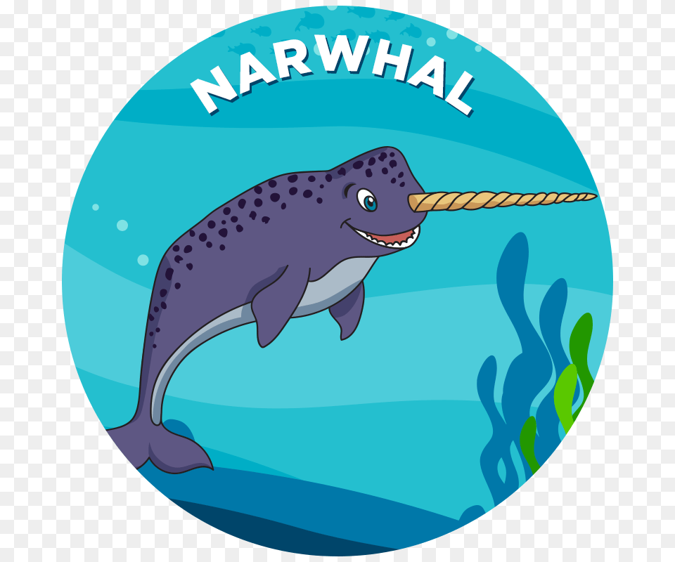 Narwhal, Animal, Mammal, Sea Life, Whale Free Png