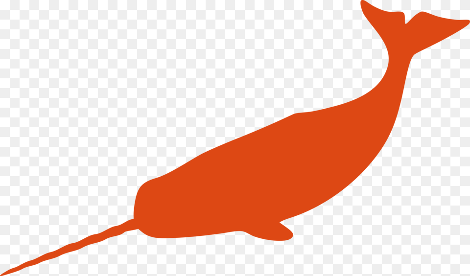 Narwhal Cetacea Silhouette Drawing Animal, Sea Life, Mammal, Whale, Fish Free Png Download