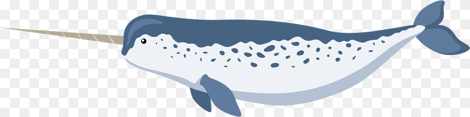 Narwhal Clipart, Animal, Mammal, Sea Life, Whale Free Png Download