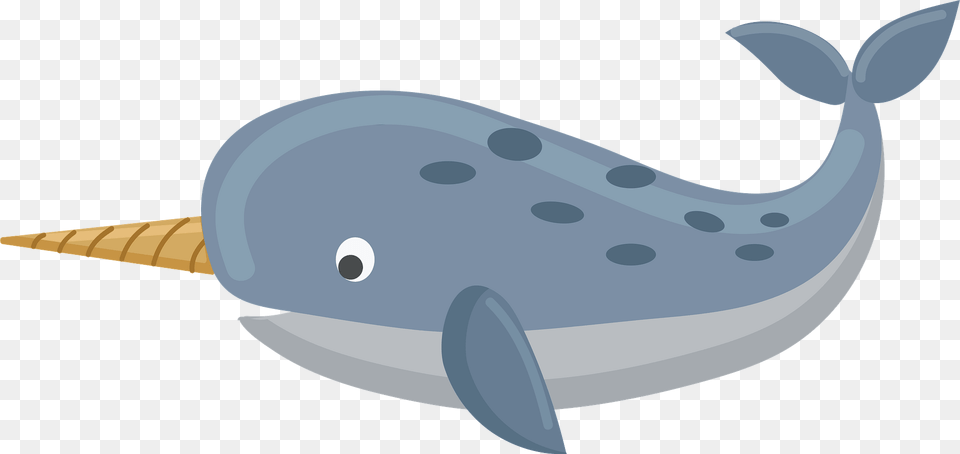 Narwhal Clipart, Animal, Mammal, Sea Life, Whale Png