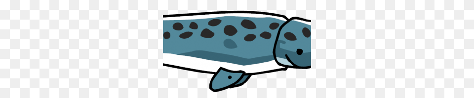 Narwhal Image, Animal, Sea Life, Mammal, Whale Free Transparent Png