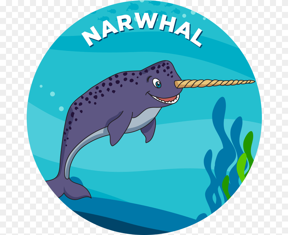 Narwhal Mako Shark Cartoon, Animal, Mammal, Sea Life, Whale Free Transparent Png
