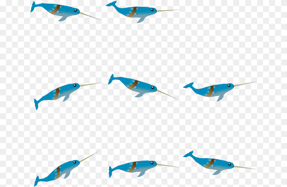 Narwhal Marlin, Animal, Sea Life, Fish, Bird Png Image