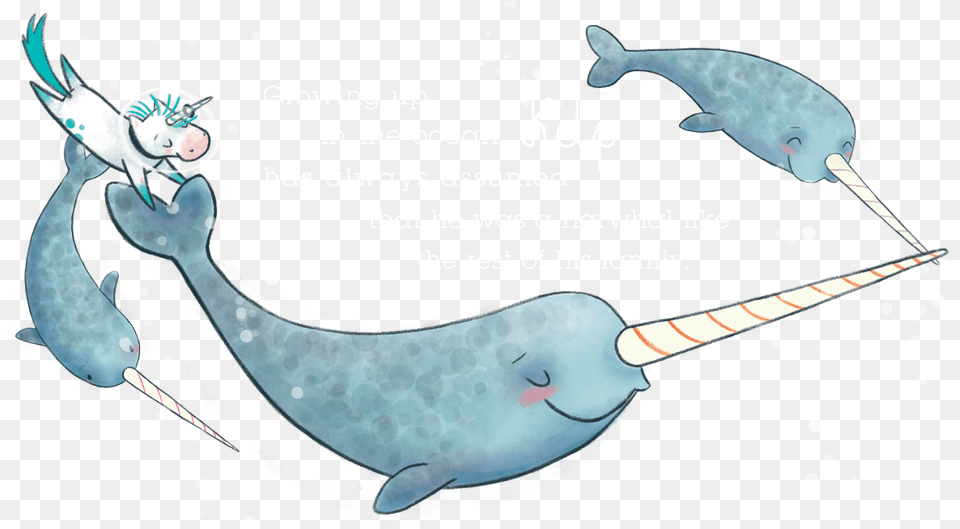 Narwhal Not Quite Narwhal, Animal, Mammal, Sea Life, Whale Free Png